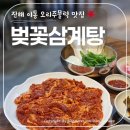 신 운현궁한방삼계탕 | 창원 진해 이동 착한가격의 맛집 ‘벚꽃삼계탕’ 생오리주물럭 한마리 후기