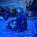 제일컴퓨터크리닝 | [서울] 디즈니 100주년 기념 전시회 후기