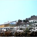 공예전시관 Daum카페