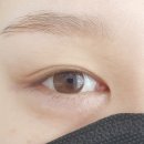 활짝핀 속눈썹 이미지