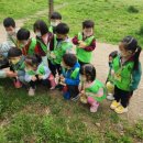 신일어린이집 이미지