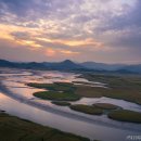 순천만습지 이미지