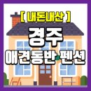 웰컴독 애견펜션 이미지