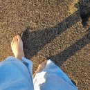 아침바다 이미지