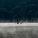 대호주유소 이미지