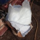 홍이농장 이미지