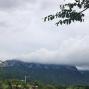 오렌지성형외과의원 이미지