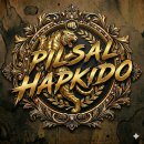 필살 합기도 이미지