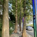 [통영] 이순신공원, 동피랑 벽화마을 :: 통영 가볼만한 곳, 통영 여행 추천 장소