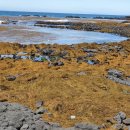 용당포구 이미지