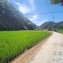 [국도17] 진천군 도하리 - 3799 | [국도17] 진천군 도하리