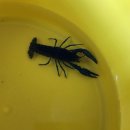 오목수산 이미지