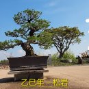 災從春雪消 福逐夏雲興’ (재종춘설소 복축하운흥 )와 입춘첩 이미지