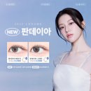 PC데이(DAY) 이미지