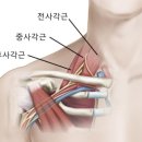 오션짐 | 마산 오션뷰 헬스장 캡틴짐 월영점 &amp; MVM iPT 밸런스피티 후기