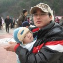 거제도국제펭귄수영축제 이미지