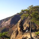 함순례 - 꼴림에 대하여 / 해설, 감상 - 이승하, 이은주, 권순진, 이완근, 안준철, 이종암, 임영석, 고증식 이미지