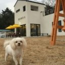 핑코하우스 이미지