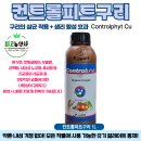 풍성농약사 | &lt;최고농약사&gt; 김장배추 병해 예방 가이드! 노균병·무름병·뿌리혹병 등록약제 및 관리법 (컨트롤피트...