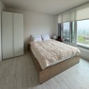 포레스트 173 이미지