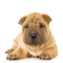 다솜메디컬 이미지