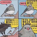 미뇽 - 군포시 | 미뇽