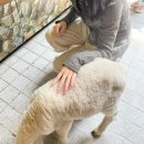 나이스뽑기방 | 7월 13일은 나이스 데이