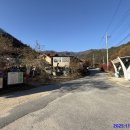 오전2리생달 이미지