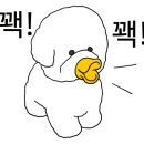 순수가성 이미지