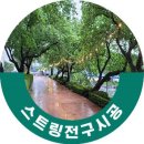 원광대학교 | 2025년 5월 원광대학교 축제 스트링전구시공 후기