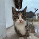 한옥스테이 북성리 | [인천] 북한과 가까운 강화도 감성 독채 펜션 &#39;한옥스테이 북성리&#39; 숙박기