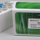 엠에스개발 이미지