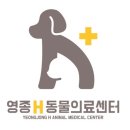 H 동물병원 이미지