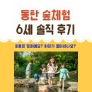 동탄 숲체험 반석산 : 6세 아이들 솔직후기, 비용