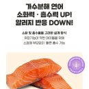 댕댕포스 관절건강 | 강아지 관절 영양제 한 달간 먹여본 솔직 후기, 오래오래 뛰어놀자 🐾
