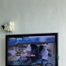 부안촌캉스 | [부안] 전북부안 애견동반 변산리조트 투룸형 이용후기 '더웨스트 변산리조트'