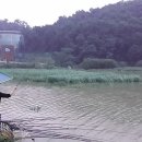 반월낚시