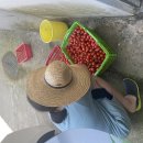 희원농장 이미지