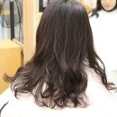서진헤어 - 김해시 | 서진헤어