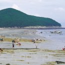 오봉산해수욕장 투어코리아