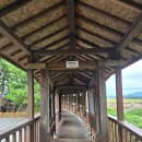 보령센터-041 | 죽도 상화원 산책하기 좋은 충남 보령 가볼만한곳