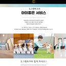 도그365 이미지