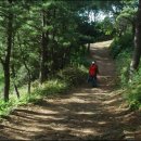 태하등대 이미지