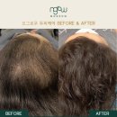 하임그로우 이미지