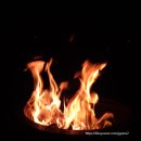 스테이콤마 | 청도펜션 스테이콤마 재방문후기