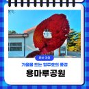 금광리 공중화장실 이미지