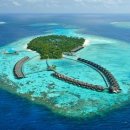 말리비치 이미지