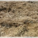 한울농장 2 이미지