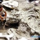 양근카센타 이미지