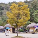 신목농장 | 안동 하회마을 후기